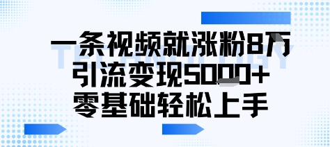 一条视频就涨粉8W引流变现5k+，0基础项目轻松上手-轻资本网