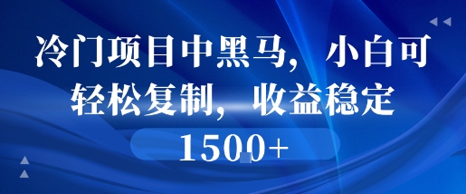 冷门项目中黑马，小白可轻松复制，收益稳定1.5k-轻资本网