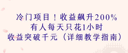 冷门项目！收益飙升200% 有人每天只花1小时 收益突破1k(详细教学指南)-轻资本网