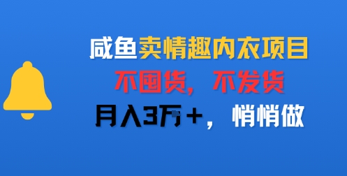 咸鱼卖情趣内衣项目，不囤货，不发货，月入3W+，悄悄做-轻资本网