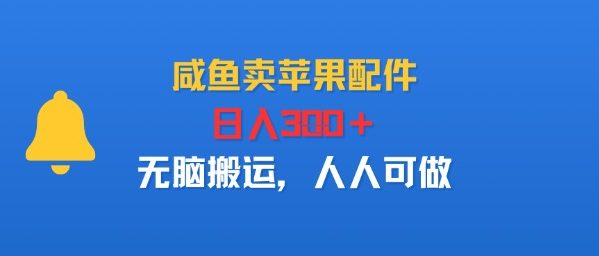 咸鱼卖苹果配件，日入3张+，无脑搬运，人人可做-轻资本网