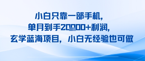 小白只靠一部手机，单月到手2W+利润，玄学蓝海项目，小白无经验也可做-轻资本网
