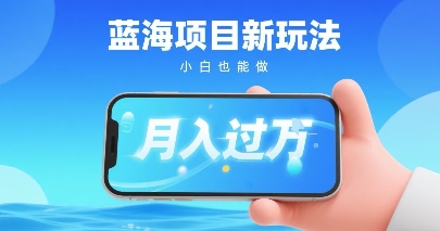 小红书蓝海项目新玩法，一部手机即可月入过W，推荐小白做非常简单认可度超高-轻资本网
