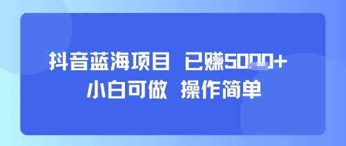 抖音蓝海项目，小白可做，操作简单，可批量制作，已挣5k+-轻资本网