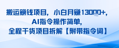 搬运挣钱项目，AI指令操作简单，小白月入1W+，全程干货项目拆解-轻资本网