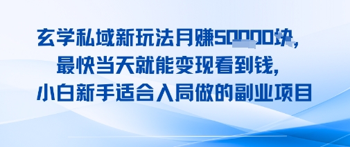 玄学私域新玩法月入1W+，最快当天就能变现看到米，小白新手适合入局做的副业项目-轻资本网