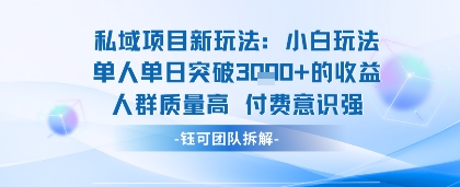 私域项目新玩法小白玩法单人单日突破1k的收益人群质量高付费意识强-轻资本网
