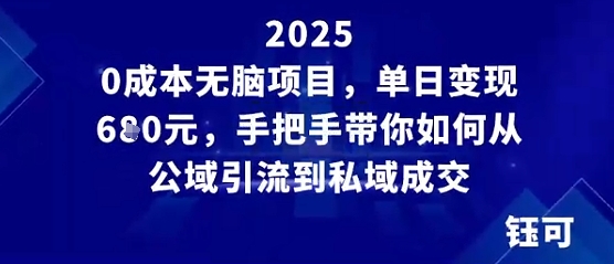 0成本无脑项目，单日变现多张，手把手带你如何从公域引流到私域成交-轻资本网