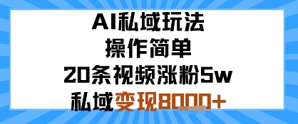 AI私域玩法，操作简单，20条视频涨粉5w，私域变现8k+-轻资本网