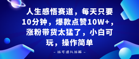 人生感悟赛道，每天只要十分钟，爆款点赞10W+，涨粉带货太猛了，小白可玩，操作简单-轻资本网