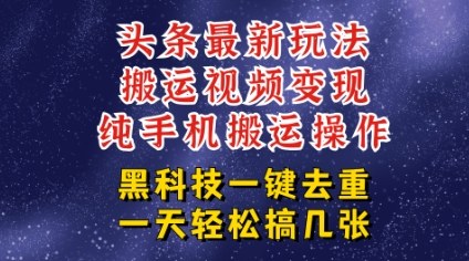 今日头条纯搬运玩法，轻松过原创不违规，轻松日入三位数，稳的很-轻资本网