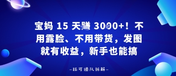 宝妈15天賺3k+！不用露脸、不用带货，发图就有收益，新手也能搞-轻资本网