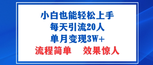 小白也能轻松上手的宝妈项目，每天引流20人，单月变现3W+，流程简单，效果惊人-轻资本网