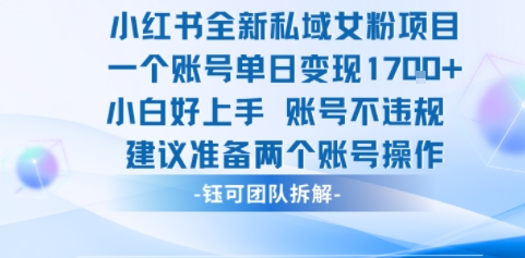 小红书全新私域女粉项目 单日变现1k+ 小白好上手账号不违规-轻资本网