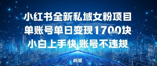 小红书全新私域女粉项目单账号单日变现多张，小白上手快账号不违规建议准备多账号操作-轻资本网