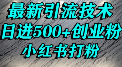 小红书精准引流创业粉，前辈求带孩子走投无路了，单人操作日引500+精准创业粉-轻资本网