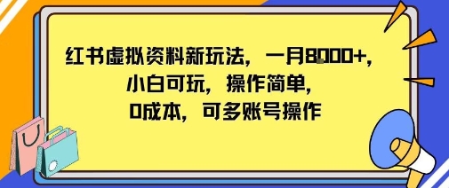 小红书虚拟资料新玩法，一月8k+小白可玩，操作简单-轻资本网