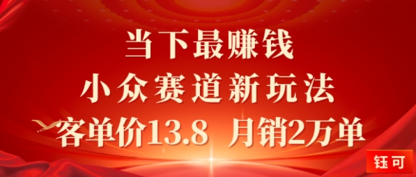 当下最挣钱的小众赛道 小红书新玩法10个作品涨粉3W，客单价13.8  月销2W单-轻资本网