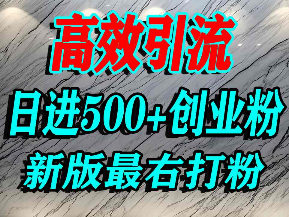 最右打创业粉，百分之九十九同行都不知道的空白蓝海，单人日引500+精准流量-轻资本网