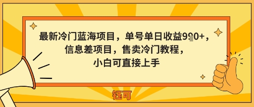 最新冷门蓝海项目，单号单日收益多张，信息差项目，售卖冷门教程，小白可直接上手-轻资本网
