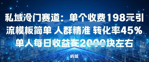 私域冷门赛道：单个收费198米引流模板简单人群精准转化率45%单人每日收益在1k+-轻资本网