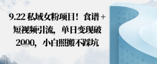 私域女粉项目！食谱+短视频引流，单日变现破多张，小白照搬不踩坑-轻资本网