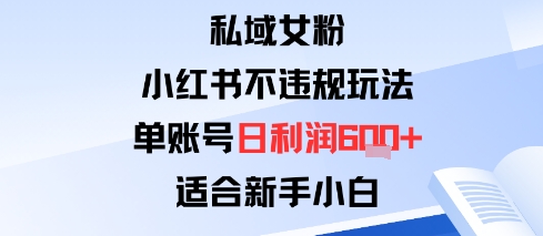 私域女粉：小红书平台不违规玩法单账号日利润6张+适合新手小白-轻资本网