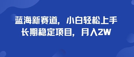 蓝海新赛道，小白轻松上手，长期稳定项目，月入2W-轻资本网