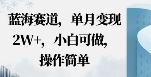 蓝海赛道，小红书私域项目，单月变现2W+，小白可做，操作简单-轻资本网