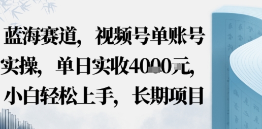 蓝海赛道，视频号单账号实操，单日实收1k，小白轻松上手，长期项目-轻资本网