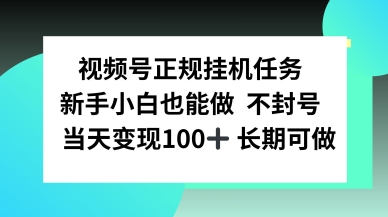 视频号正规挂播任务，有手就行不违规，轻松日入1张-轻资本网