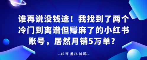 谁再说没钱途！我找到了两个冷门到离谱但賺麻了的小红书账号，居然月销5W单？-轻资本网