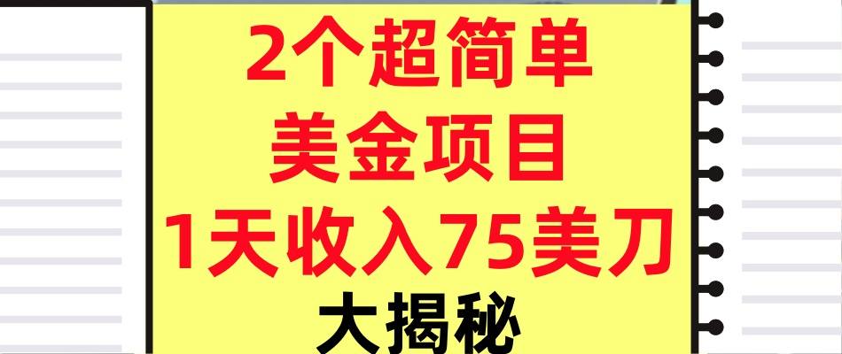 2个超简单美金项目，1天收入75美刀，3分钟学会，内部教程（大揭秘）-轻资本网