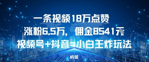 一条视频18W点赞涨粉6.5W，佣金8541视频号+抖音=小白王炸玩法-轻资本网
