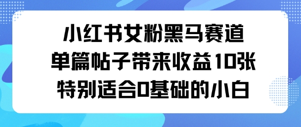 小红书女粉黑马赛道单篇帖子带来收益10张特别适合0基础的小白-轻资本网