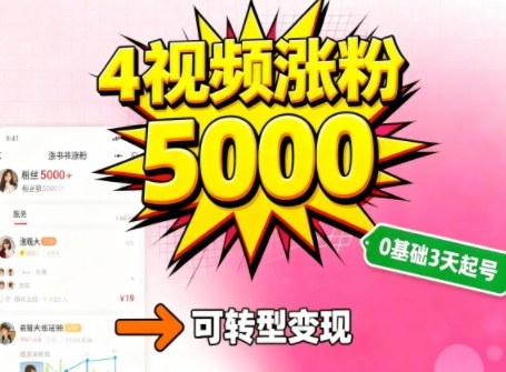 小红书暴力起号方法，四个视频涨粉5000，起号后可转型，操作简单，对小白友好-轻资本网