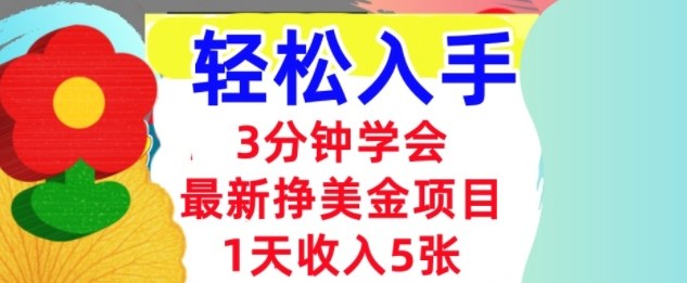 最新挣美金项目，日入5张，3分钟学会，小白轻松入手（长久的被动收入）-轻资本网