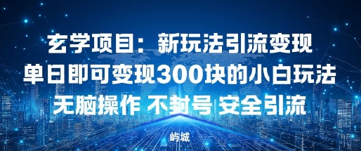 玄学项目：新玩法引流变现单日即可变现3张的小白玩法无脑操作不封号安全引流-轻资本网