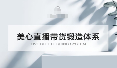 直播带货锻造体系课，5G时代美心一站式帮你开启直播带货之路【音频】-轻资本网