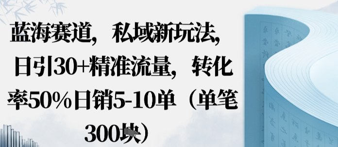 蓝海赛道，私域新玩法，日引30+精准流量，转化率50%日销5-10单（单笔3张）-轻资本网