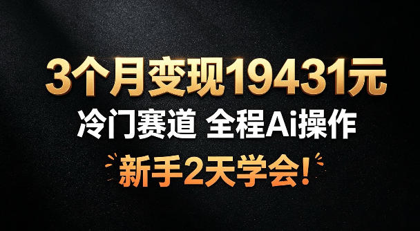 3个月变现19431，冷门赛道，全程Ai操作，新手2天学会！【揭秘】-轻资本网
