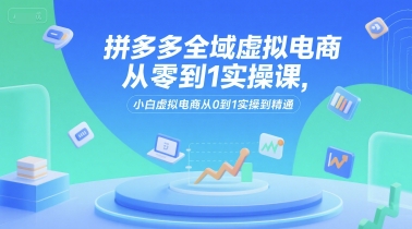 拼多多全域虚拟电商从零到1实操课，小白虚拟电商从0到1实操到精通-轻资本网
