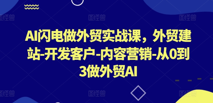 AI闪电做外贸实战课，​外贸建站-开发客户-内容营销-从0到3做外贸AI(更新)-轻资本网