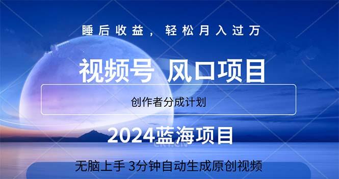 2024蓝海项目，3分钟自动生成视频，月入过万-轻资本网