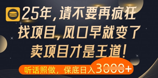 什么？25年你还在疯狂找项目做，醒醒吧，看完这些你全都懂了【揭秘】-轻资本网