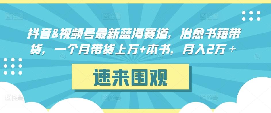 抖音&视频号最新蓝海赛道，治愈书籍带货，一个月带货上万+本书，月入2万＋【揭秘】-轻资本网