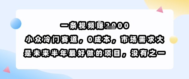 一条视频挣1k，小众冷门赛道，0成本，市场需求大，是未来半年最好做的项目，没有之一-轻资本网
