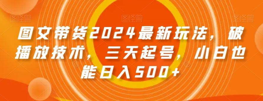图文带货2024最新玩法，破播放技术，三天起号，小白也能日入500+【揭秘】-轻资本网