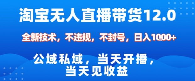 淘宝无人直播12.0，公域私域技术，不封号，不违规布局双十一流量风口，日入1k(独家技术)【揭秘】-轻资本网