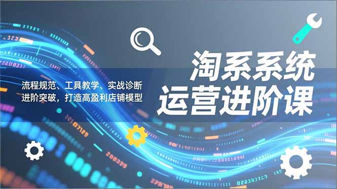 淘系系统运营进阶课2.0，流程规范、工具教学、实战诊断，进阶突破，打造高盈利店铺模型-轻资本网